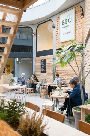 Open space with lots of natural light and plants at Knol & Kool Bistro & Superet in Ghent