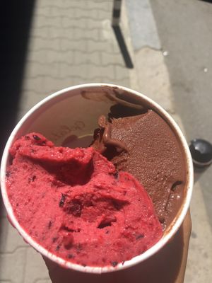 Fruits of the forest, chocolate  at Gelateria Naturale in Sofia