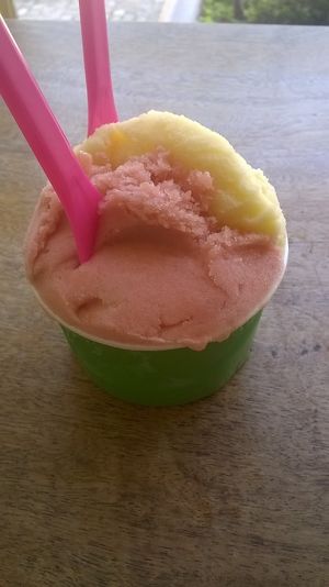 Local rhubarb and tangerine sorbet at Pitango Gelato in Baltimore