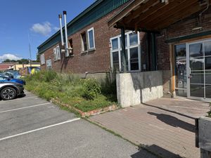 Wildflowers growing in the garden outsidee  at Rock Hill Bakehouse Cafe in Glens Falls
