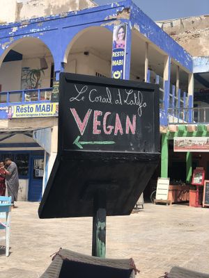 The best word to see when travelling  at Le Corail at Latifa in Essaouira