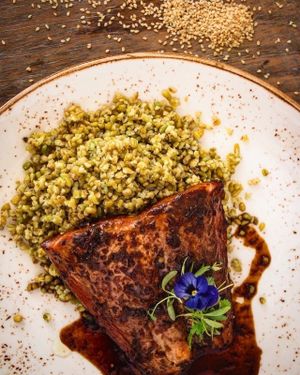 Miso Glazed Salmon - served with freekeh at Little Erth in Dubai