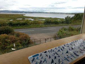 nice view at RSPB Loch Leven Cafe in Kinross