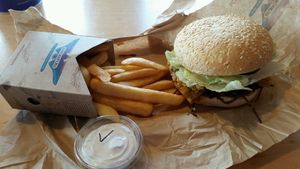 The V8 Vegan burger with Vegan aioli & fries at BurgerFuel - Courtenay Place in Wellington