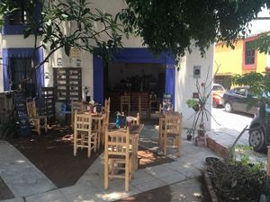 Come and enjoy our terrace while having an artesanal coffee. 
Try our daily vegan/vegetarian menu with regional influence. at Latitud 17 in Oaxaca