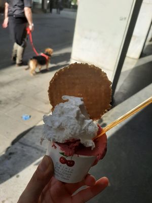  at VanillaBio in Como