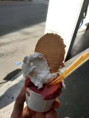  at VanillaBio in Como