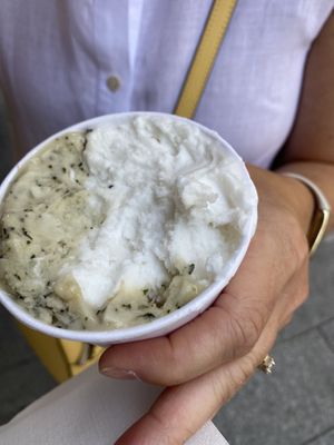   at VanillaBio in Como