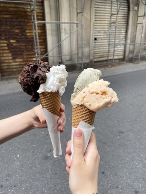   at VanillaBio in Como