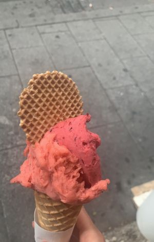 Strawberry and wild berry vegan gelato 🍧   at VanillaBio in Como
