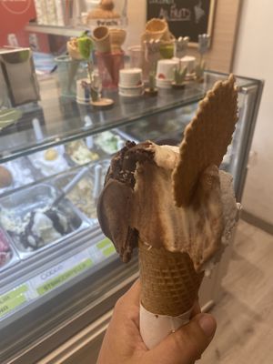   at VanillaBio in Como