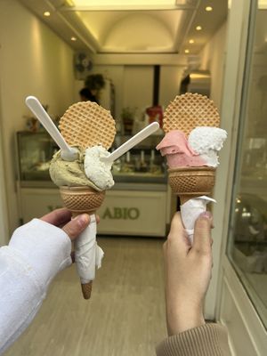   at VanillaBio in Como