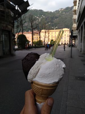 Vegan power at VanillaBio in Como