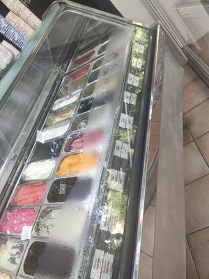 Vegan and/or sugar free ice cream options at Pasalidis in Thessaloniki