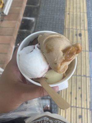 Vegan ice cream  at Pasalidis in Thessaloniki