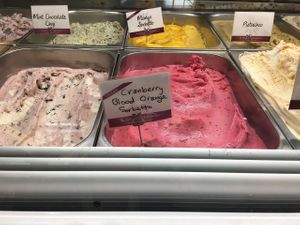 Vegan Gelato flavors - Labeled at Il Gelato Café - Kahala in Honolulu