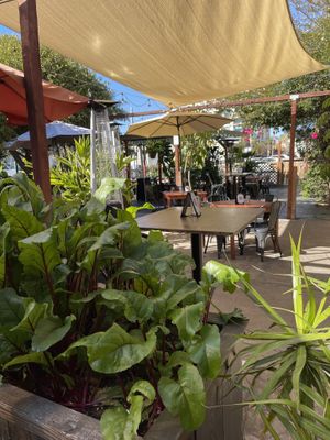 Patio at Donna Jean in San Diego