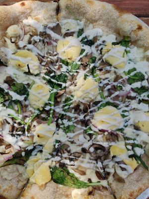 Fungazi at Donna Jean in San Diego