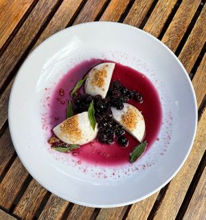 panna cotta   at Donna Jean in San Diego