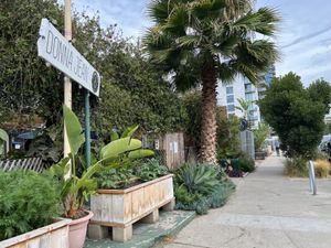   at Donna Jean in San Diego