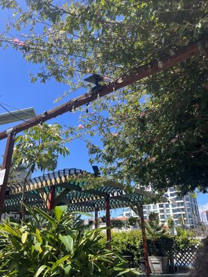   at Donna Jean in San Diego