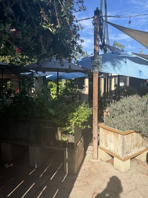 Patioent  at Donna Jean in San Diego