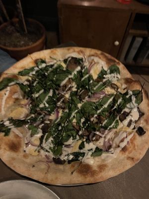 Various mushrooms pizzaa  at Donna Jean in San Diego