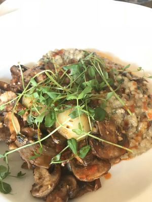 Risotto  at Donna Jean in San Diego