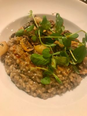 Risotto  at Donna Jean in San Diego