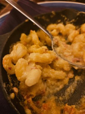 Bacon Mac and cheese-yum at The Greyhound Cafe in Malvern