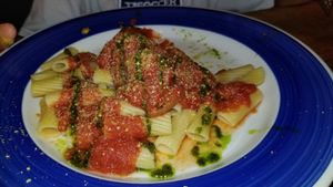 Marshall at The Greyhound Cafe in Malvern