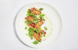 Empanadas Jungle at VITA Vegan Paradise in New York City