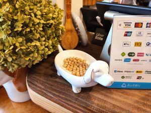 Chickpeas guard at Gold Falafel in Osaka