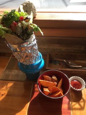 Meal at Gold Falafel in Osaka