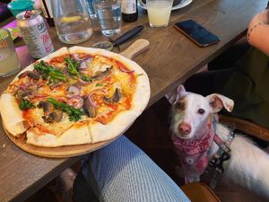   at The Stable in Bristol