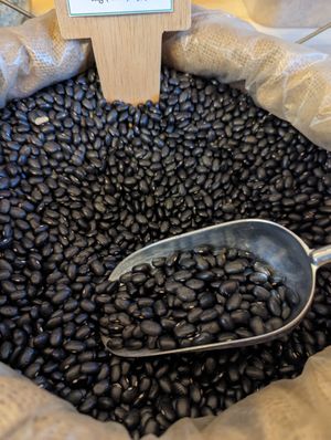  at Grans de la Terra in Barcelona