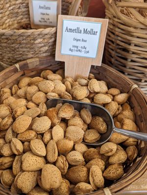  at Grans de la Terra in Barcelona