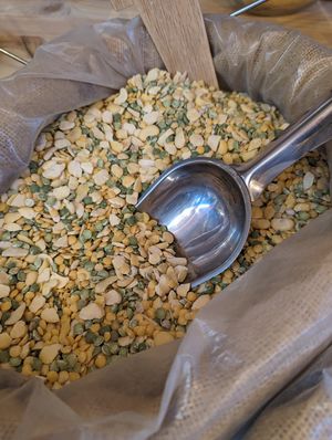  at Grans de la Terra in Barcelona