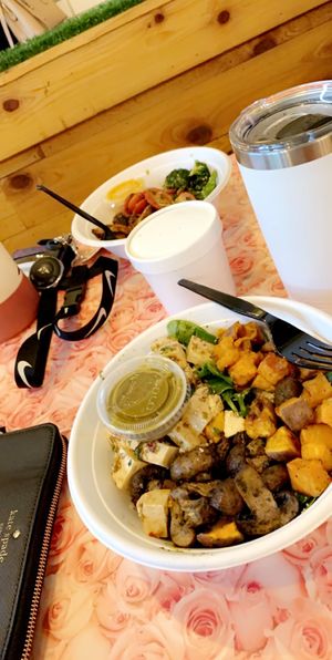 Vegan bowl at Fresh Kitchen in St Petersburg