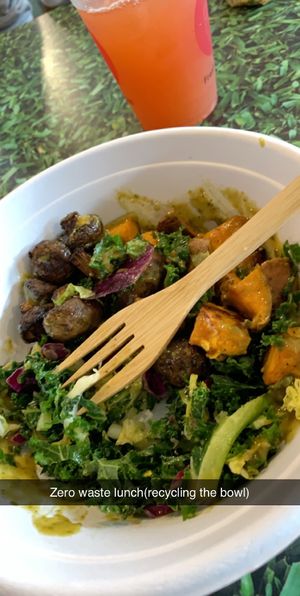 Four bowl at Fresh Kitchen in St Petersburg