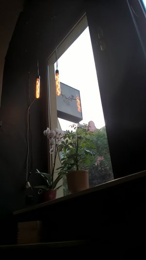 The view from inside at PieRogi Vegan in Wroclaw