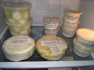 Cultured Cashews and Almonds artisan vegan cheeses. at Guia Vegano - Vegan Store in Florianopolis