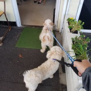 viki at Viki Cafe in Auckland