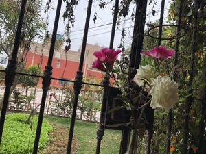 View look out from the inside   at Chocolate Cafe in Huanchaco
