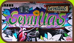 After at Semillas Comida Sana in Pereira