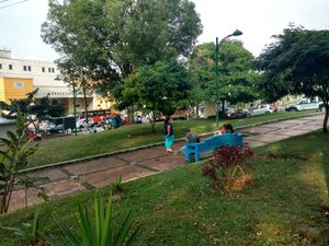 view to outside at Semillas Comida Sana in Pereira