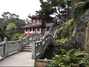 puti at Puti Vegetarian in Xiamen