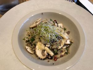 €8 for cold quinoa with raw mushrooms, raw onion, and sprouts. at apeti in Paris