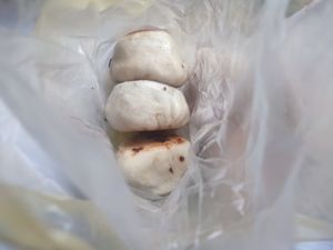  at Shàng Dǐng HuángJiā 上頂皇家 - Wanhua District in Taipei