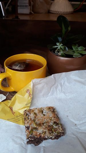 Coconut chocolate chips square. at Skinny Buddha  in New York City